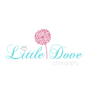 Little Dove Photography